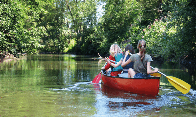 Balade en canoé sur le Don