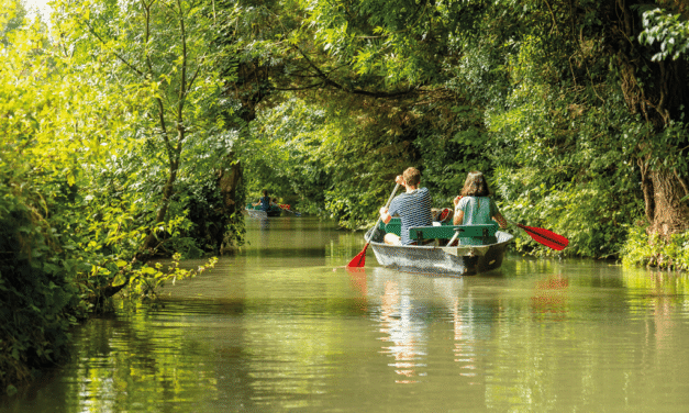 Croisière Venise verte