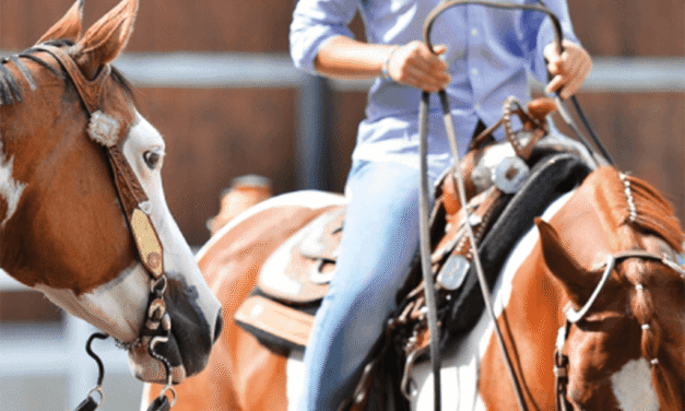 Balade à cheval – Session 4